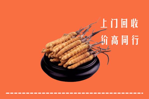 高价求购：新邵县回收散虫草