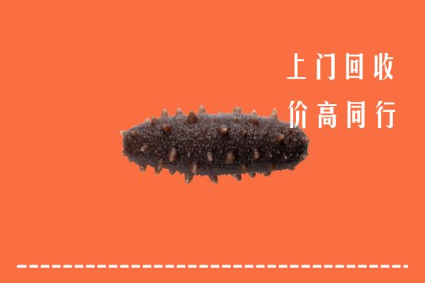 新邵县高价回收海参