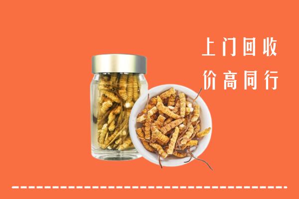 新邵县回收冬虫夏草