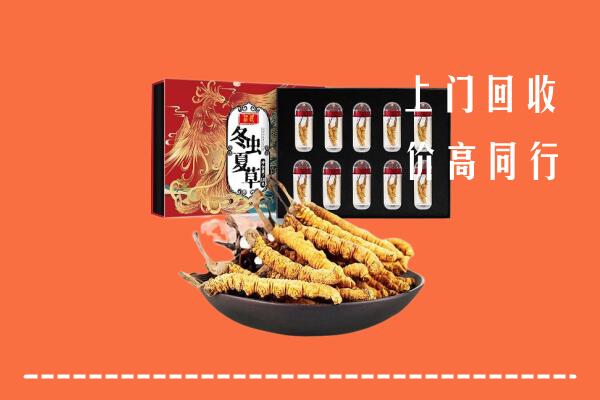 新邵县回收虫草